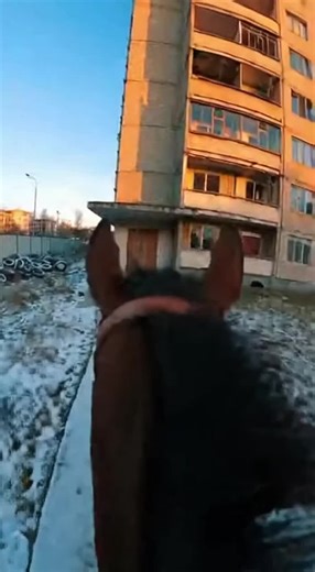 Vidéos de reshkuttt (@reshkuttt) avec Smack My Bitch Up - The Prodigy