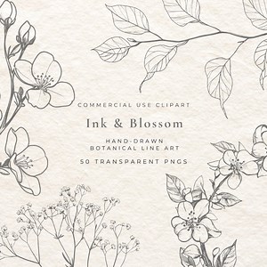 50 Fine Line Flower Clipart Bundle – Apple Blossoms, Spring Floral Illustrations, Minimal Botanical Pngs, Elegant Line Art Flowers - Etsy