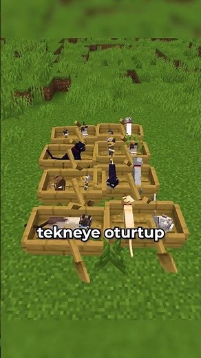 BUILDING A TELEPORTATION MACHINE WITH CATS IN MINECRAFT!?! ⛏💎