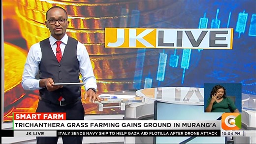 3.4K views · 58 reactions | Smart Farm: Trichanthera grass farming gains ground in Murang’a Farmers embrace sustainable fodder option Crop represents a high protein fodder shrub Ideal feed for cattle, sheep, goats & rabbits Trichanthera grass easily propagated from cuttings Harvestable several times a year after 8 months #JKLive | Citizen TV Kenya | Facebook