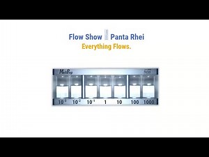 FlowShow Experiment - Everything Flows