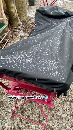 Recording Snowflakes ❄️ .The Sound of Snow #sounddesign #fieldrecording #filmsound