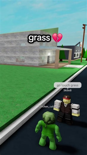 Understanding the Meaning of 'Touch Grass' in Roblox