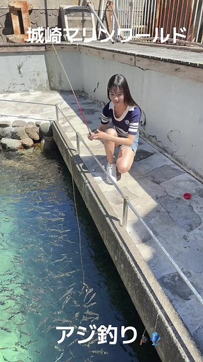 城崎マリンワールドでアジ釣り🎣 - 釣り堀体験の最大魚🐟