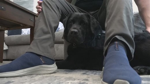 Arizona researchers find scientific evidence to show service dogs help improve veterans' PTSD symptoms