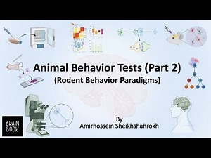 Animal behavior test (part 2) Rodent Behavior Paradigms