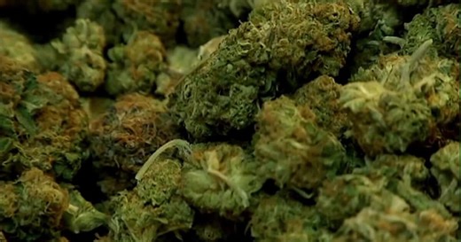 Utah medical cannabis distributors optimistic about reclassification