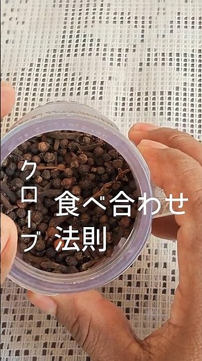クローブの食べ合わせ？中医学視点で解説