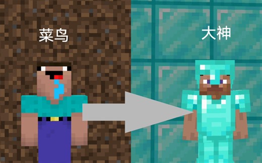 我的世界：新手如何快速从菜鸟过渡到大神#1java下载与安装