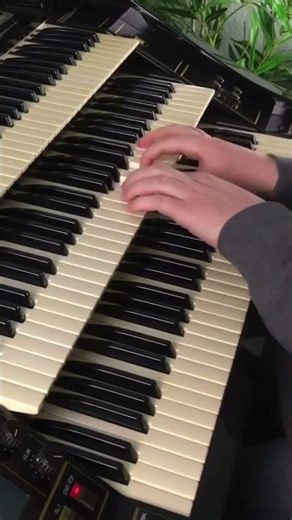 Tres Palabras | Florian Hutter - Wersi Atlantis #shorts #organ #rumba