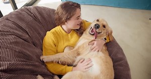 Woman Dog Pet Home Love Affection Stock Footage Video (100% Royalty-free) 3522349549 | Shutterstock