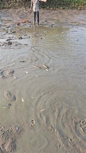 Exciting Net Fishing Techniques for Beginners