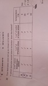 22 Four test-tubes were set up as shown in the table.In which ... | Filo