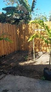 732K views · 4.5K reactions | Masida ngata dytoy kakabsat? #candaceandmommymaribel #reelsviralシ #reelsfbシ #reelsfb #reeltrending #reelsfbシ #reelsfacebook #reelschallenge #reels | Candace and Mommy Maribel | Facebook