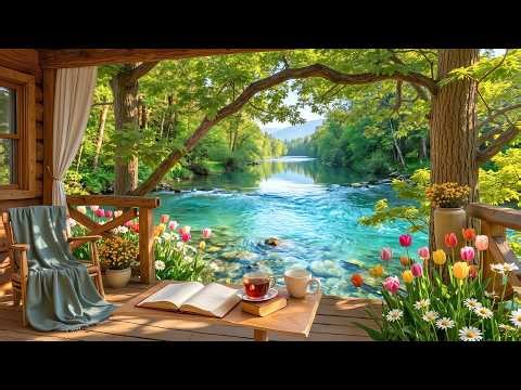 a peaceful summer morning by the stream 🍃 soft birdsong & nature ambience for slow living & calm