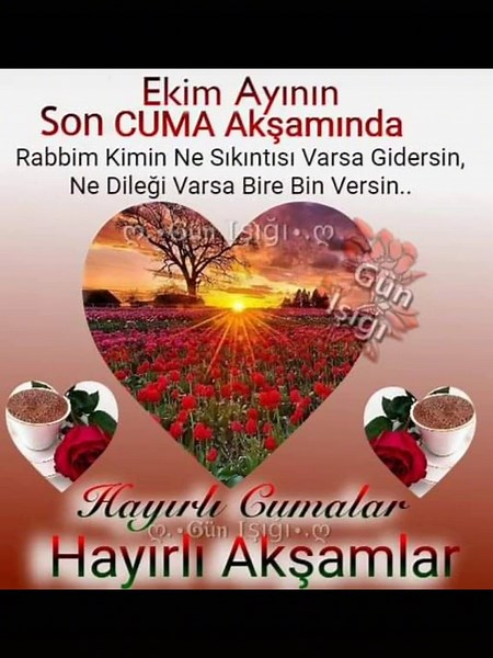 Celebratory Floral Messages in Turkish