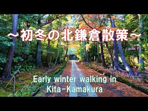 ～初冬の北鎌倉散策～ 北鎌倉台の小径 光照寺 東慶寺 亀が谷坂 岩船地蔵堂 寿福寺 小町通り