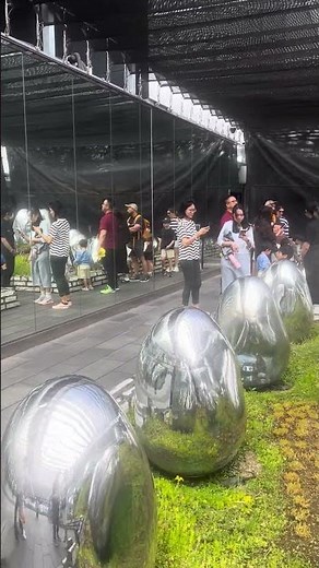 A Spectacular Display - The garden at TeamLab Planets in Tokyo, Japan.