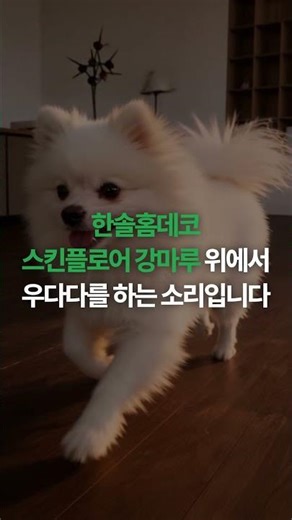 Maru's famous restaurant that caused quite a stir(?) among the dogs