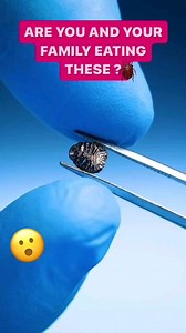 The cochineal insect, a tiny bug native to Central and South America, is famous for producing a vibrant red dye called carmine. This natural colorant is extracted from the female cochineal and has been used for centuries in textiles, cosmetics, and even food products like candy and drinks! It’s one of the most eco-friendly and sustainable color sources around. Next time you see a rich red color, it might just come from this little insect! #CochinealInsect #NaturalDye #CarmineRed #SustainableColo