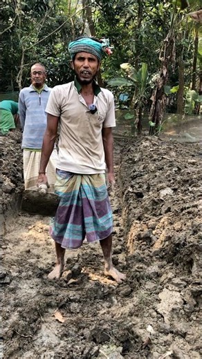 New method of vegetable cultivation.