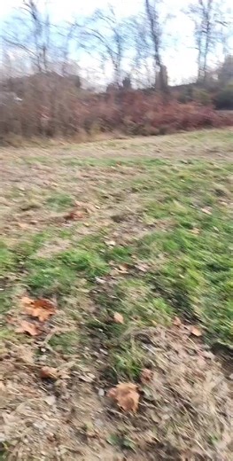 1.4K views | Anybody need parts??? | Jason Jones | Facebook