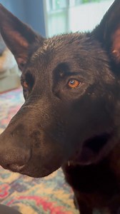 32K views · 2K reactions | I find it interesting he only mean mugs church and ignores bump 路‍♀️ | Ten Shakes of Grace | Facebook