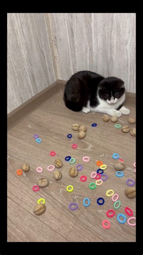 ASMR for Deep Sleep 😴 Soft & Relaxing Sounds | Milli ASMR