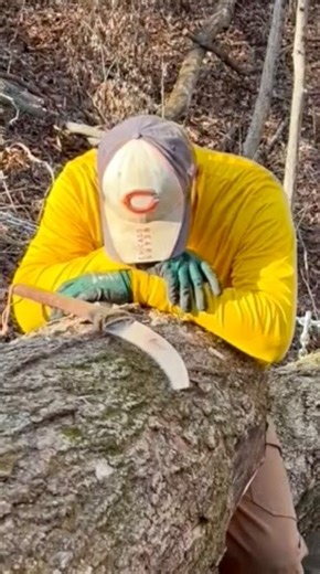 Chop With Chris on Instagram: "Things I Do 4 Love! The landowner took the large piece for timber framing and I got the rest for carving - amazing spalted maple. A great workout as well! #woodworking #diy #antiquetools #lumberjack #logging #timberframing #spaltedmaple #carving #antiquetools #crosscutsaw #bowlcarving #chainsaw"
