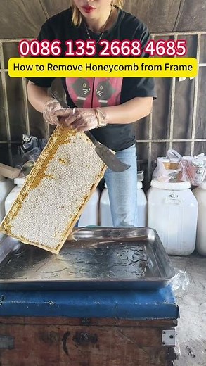 How to Remove Honeycomb from Bee Frame