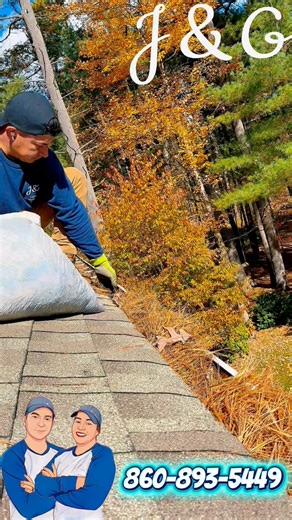 12 shares | The difference a professional gutter cleaning can make! ...