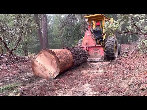 Huge Log Tests Limits of Farmi 501 Tractor Winch - Small Scale Logging for Woodmizer LT15 Sawmill