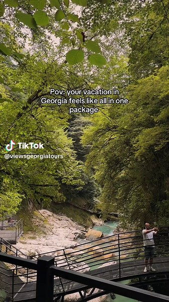 Georgia Tour Guide on TikTok