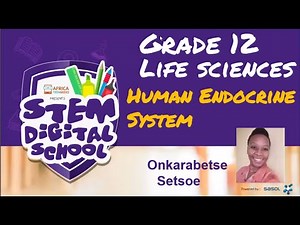 Grade 12 - Life Sciences | Human Endocrine System