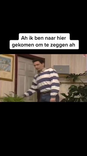 Samson en Gert Memes op TikTok