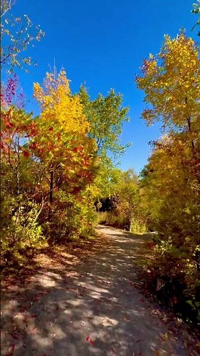 Tis Autumn - Nat King Cole