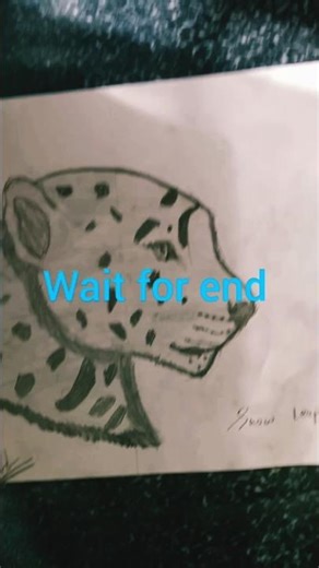 drawing of snow Leopard 🐆 #shorts #trending #viral