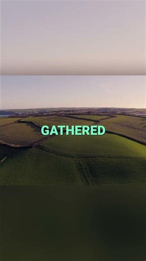 UK's Hidden Forest: The Astonishing Hedgerow Secret #shorts