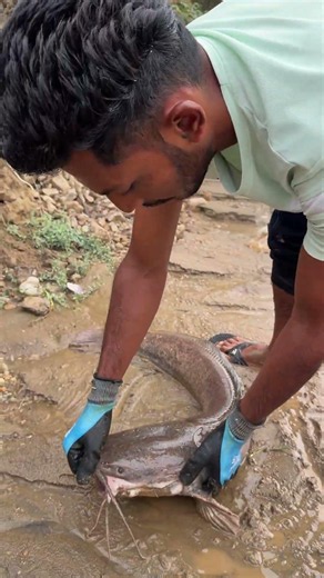 Saving Fish From A Dried UP River