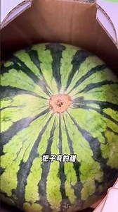 選西瓜小技巧 #西瓜🍉 #水果怎麼選#分享生活小技巧 #實用小技巧 #日常生活小妙招