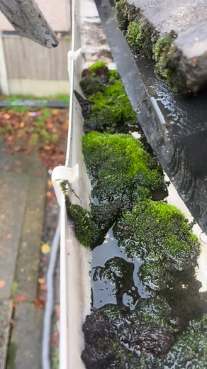 9.7K views · 21 shares | Gutter vacuuming. #pressurewashing #clean #cleaning #homemakeover #cleaningmotivation #foryou | T.j Exterior Services | Facebook