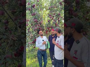 Mm111 m09 How we choose rootstock with Khurshid sabh