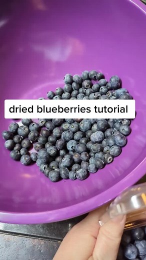 blueberries were on sale so I decided to dehydrate some! #foodpreservation #homecanningandpreserving #blueberries #tutorial #diy #homemade #homemaker