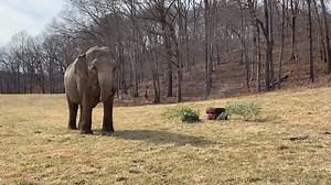 789K views · 10K reactions | Happy 50th birthday, Debbie! Caregivers...