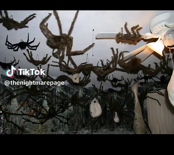 Creepy Spiders: Unseen Movement in the Dark