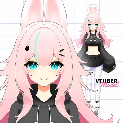 Custom Vtuber Model Design | Live2d Full Body | Anime Avatar for Twitch | Ready to Use Vtube Studio Model | High Quality Vtuber Art - Etsy