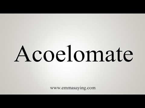 How To Say Acoelomate