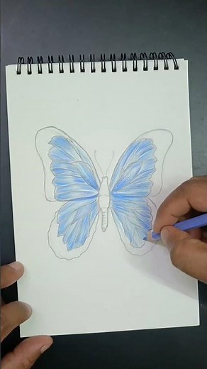 Beautiful butterfly drawing with colour pencils ✏️🦋#shorts