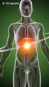 Fatty Liver Disease ⚠️ Silent Damage Inside Your Body | 3D Medical Animation Awareness.