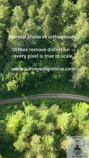 Photo vs Orthomosaic